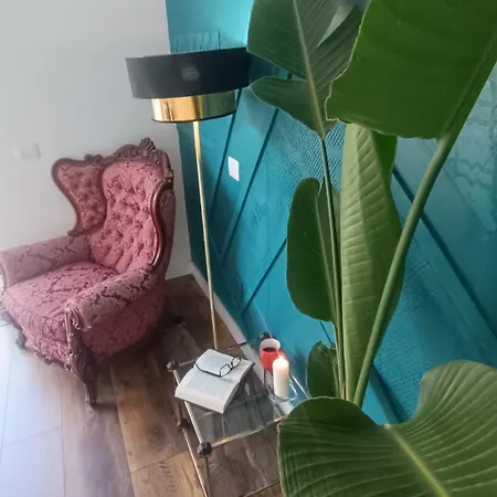 Casa Jardin Del Sol Planta Alta Tacoronte